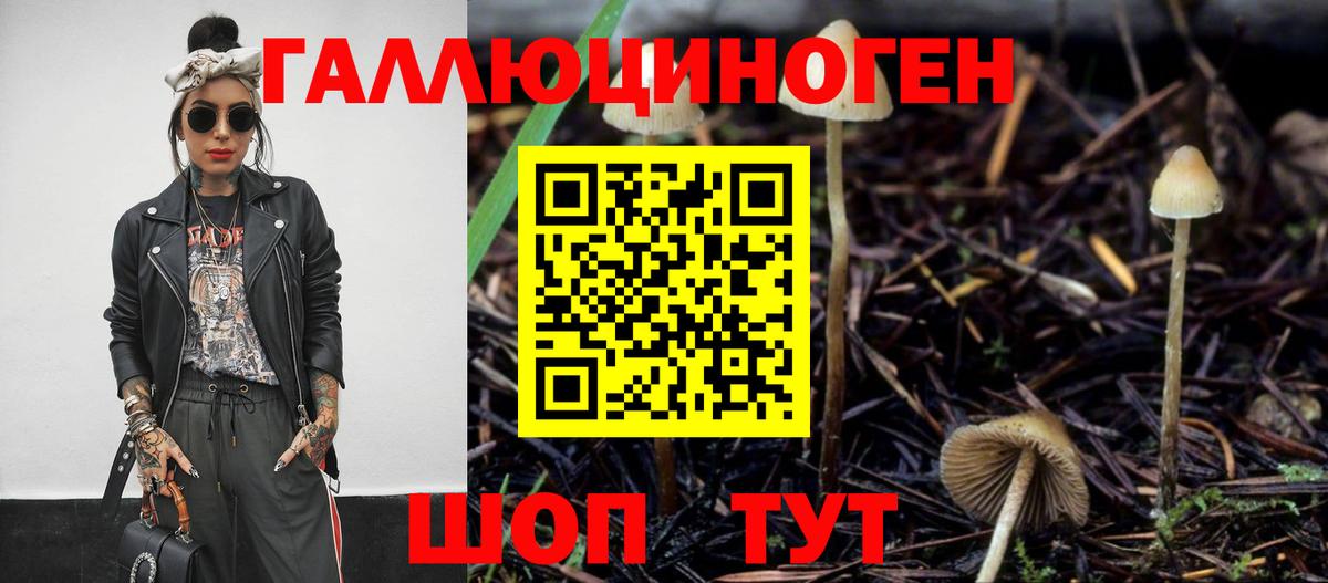 Псилоцибиновые грибы MAGIC MUSHROOMS Всеволожск