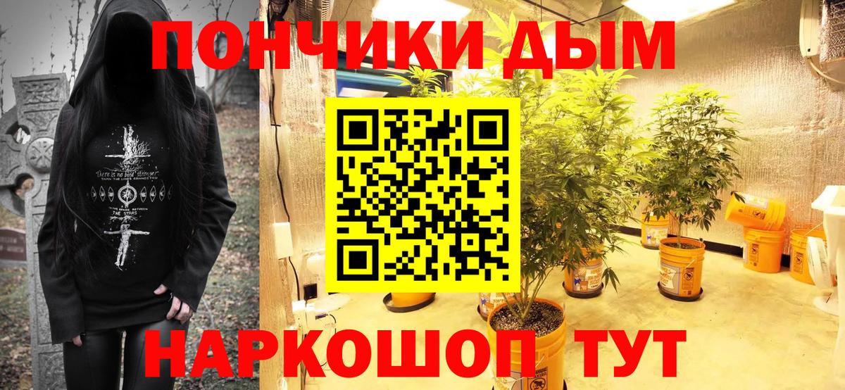 Конопля марихуана Всеволожск